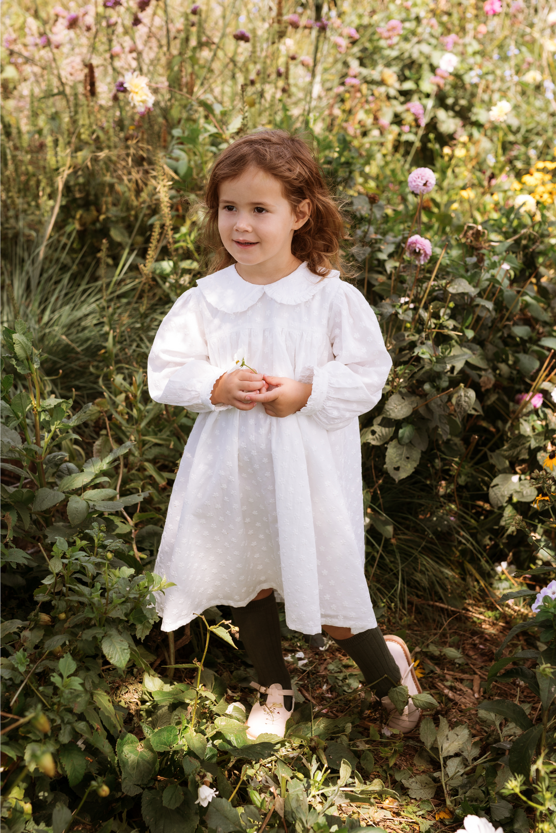 Amelia Dress -  Mini Daisy