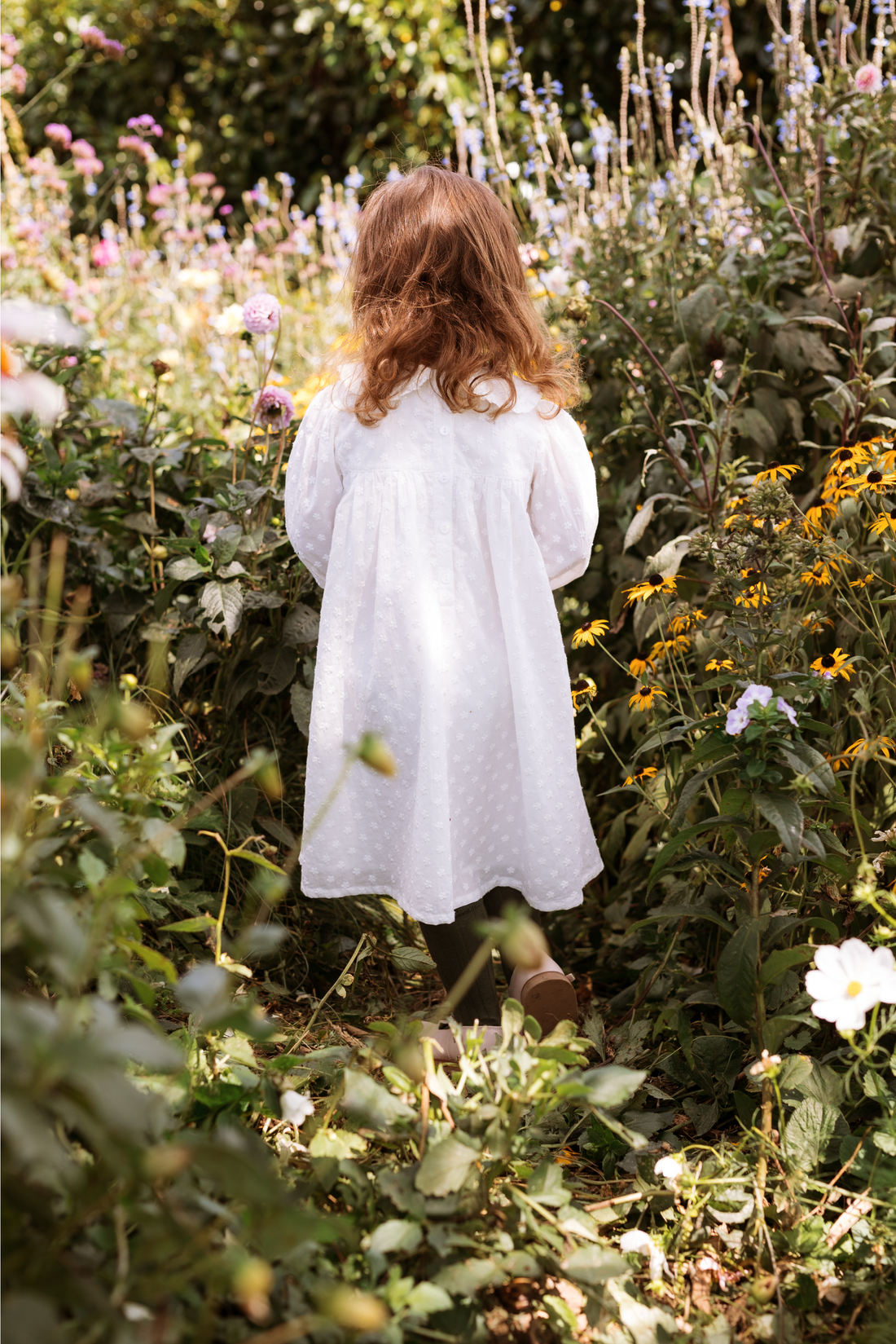 Amelia Dress -  Mini Daisy