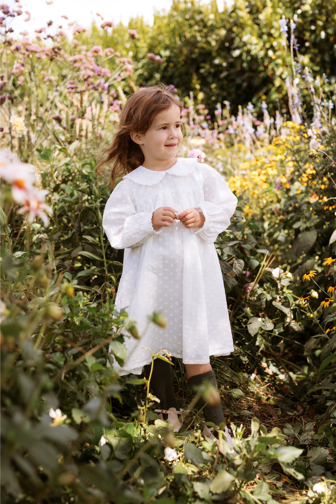 Amelia Dress -  Mini Daisy