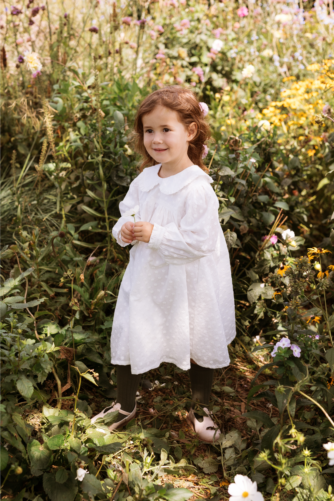 Amelia Dress -  Mini Daisy