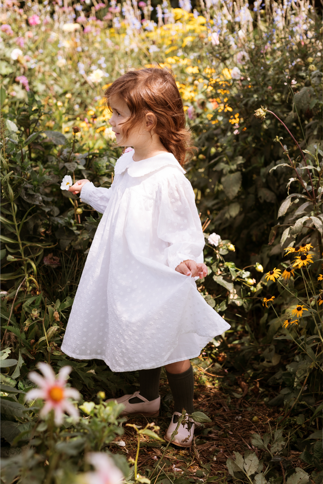 Amelia Dress -  Mini Daisy