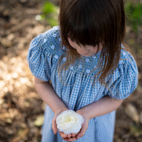 Celeste Dress - Baby Blue Gingham