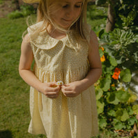 Colette Dress in Haru Blossom