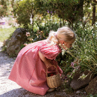 Celeste Dress - Strawberry Gingham