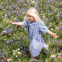 Birdie Dress - Periwinkle Dot
