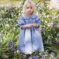Birdie Dress - Periwinkle Dot