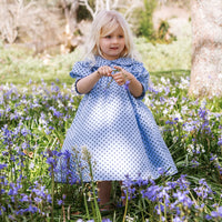 Birdie Dress - Periwinkle Dot