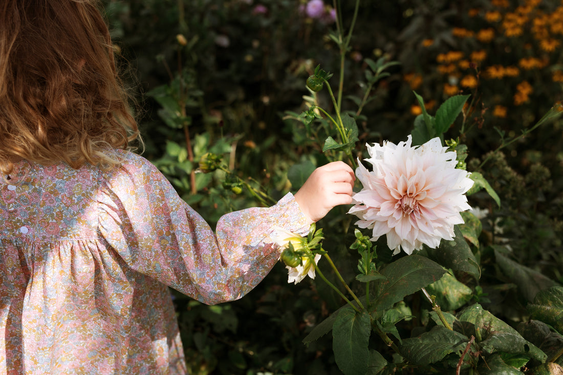 Florence Dress - Liberty Nell, Annie & May