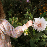 Florence Dress - Liberty Nell, Annie & May
