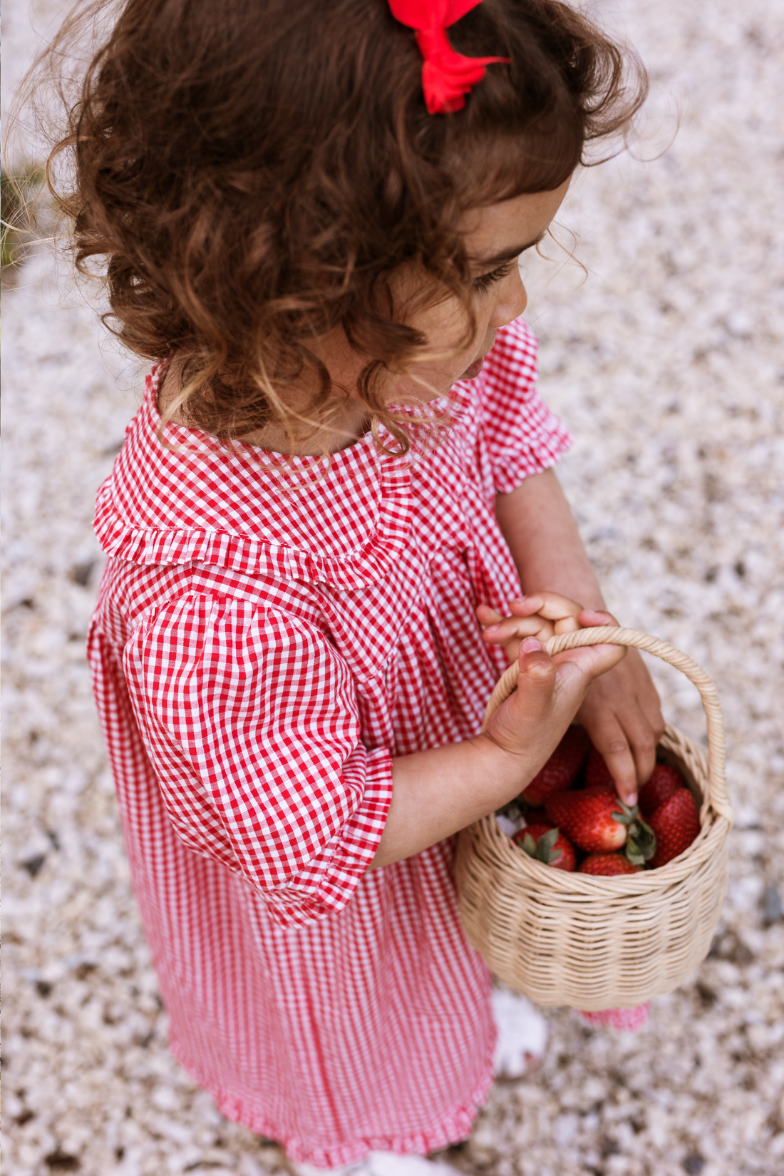 Bonnie Dress - Cherry Gingham