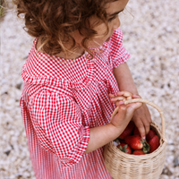 Bonnie Dress - Cherry Gingham