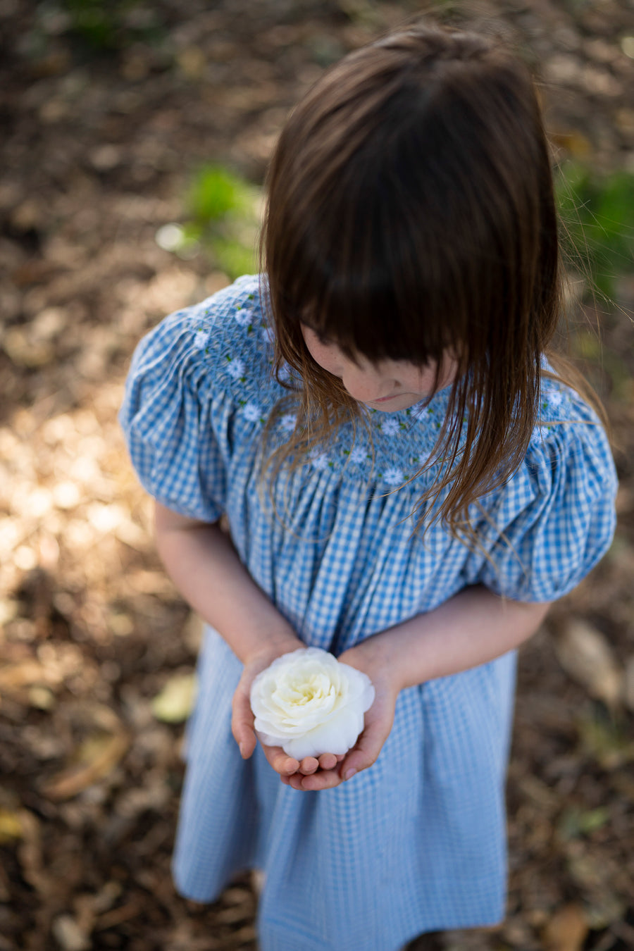 Celeste Dress - Baby Blue Gingham