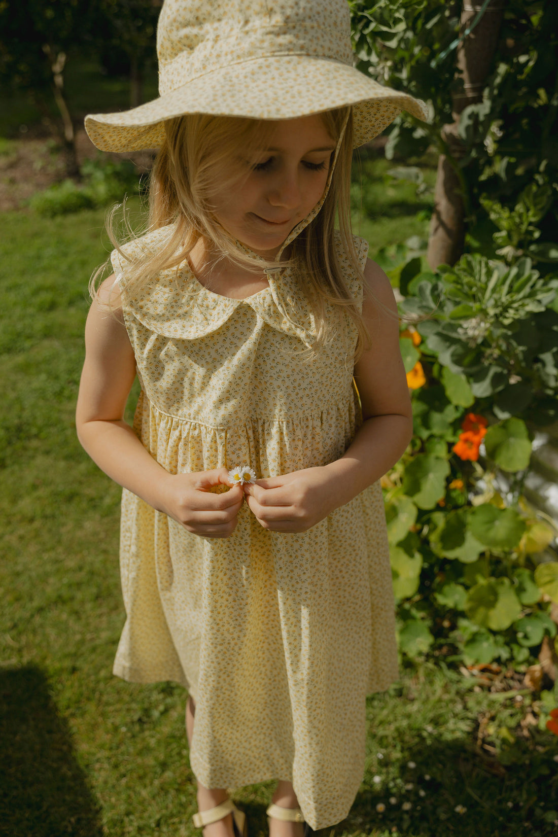 Colette Dress in Haru Blossom