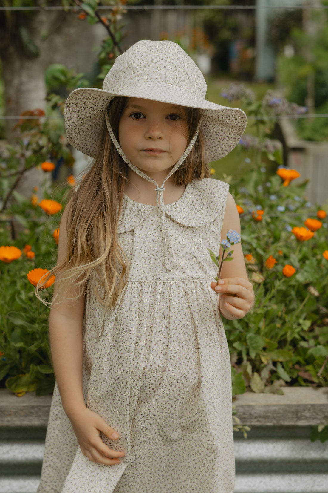 Elma Colette Dress in Haru Blossom Iris, featuring delicate purple florals on Japanese-milled cotton, a Peter Pan collar, back ties and a gathered skirt.