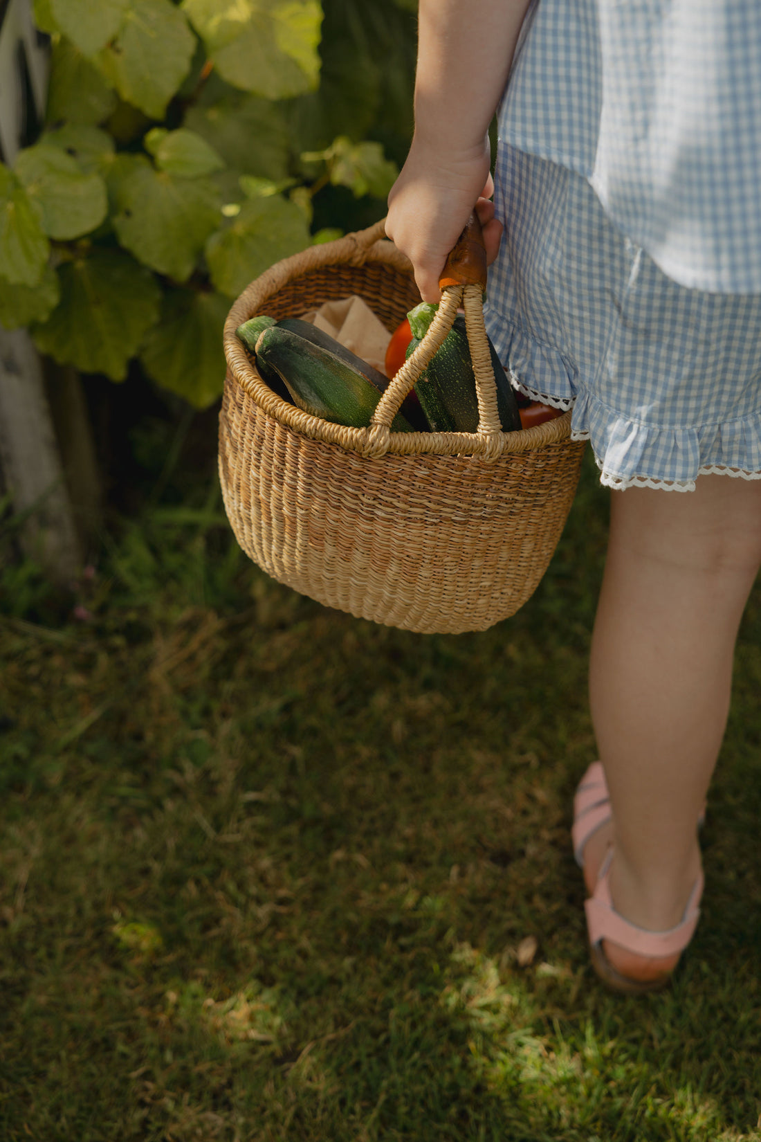 Elma Lilia Shorts in blue and white Cottage Blue Gingham, featuring an elasticated drawstring waistband, side pockets and ruffled hems with delicate white picot lace trim.