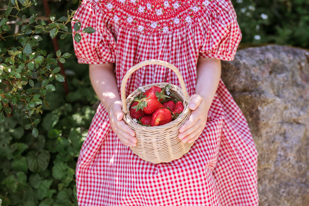 Celeste Dress - Strawberry Gingham