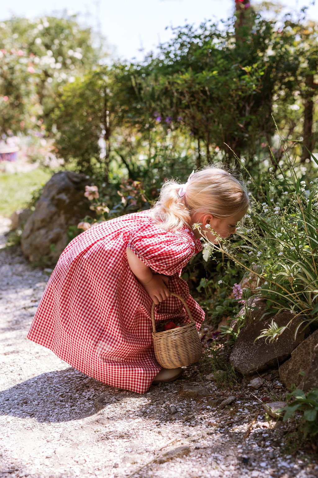 Celeste Dress - Strawberry Gingham