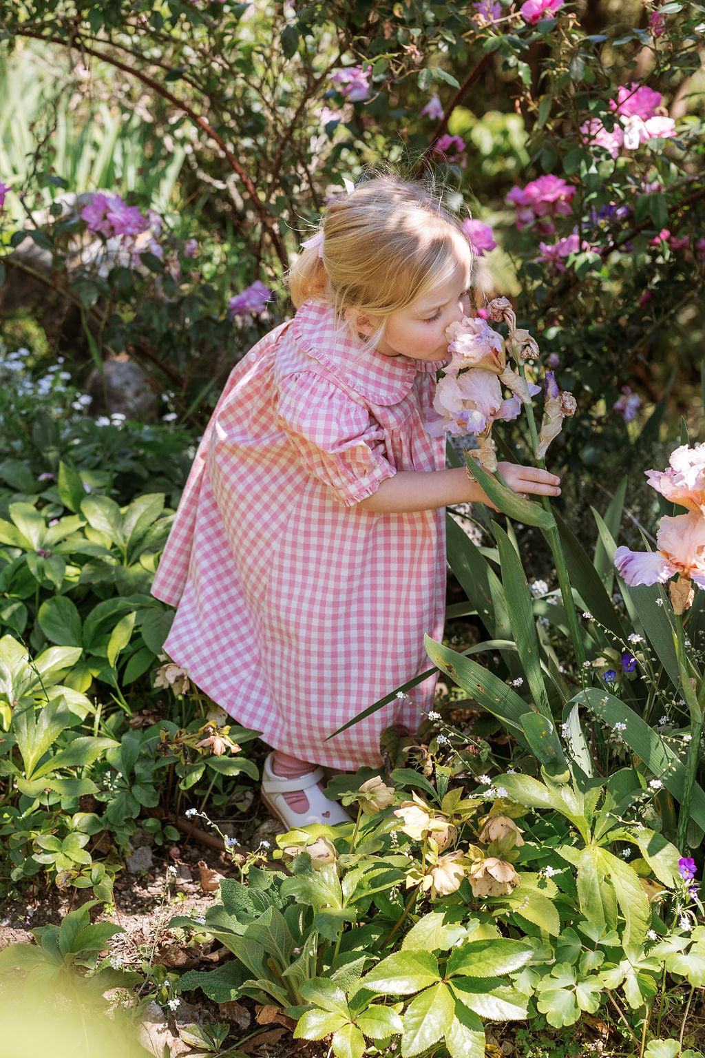 Birdie Dress - Posy Check