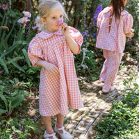 Birdie Dress - Posy Check