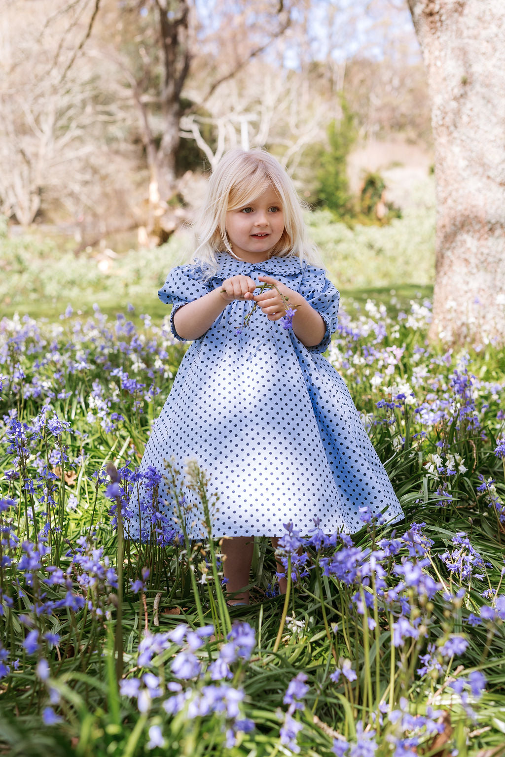 Birdie Dress - Periwinkle Dot