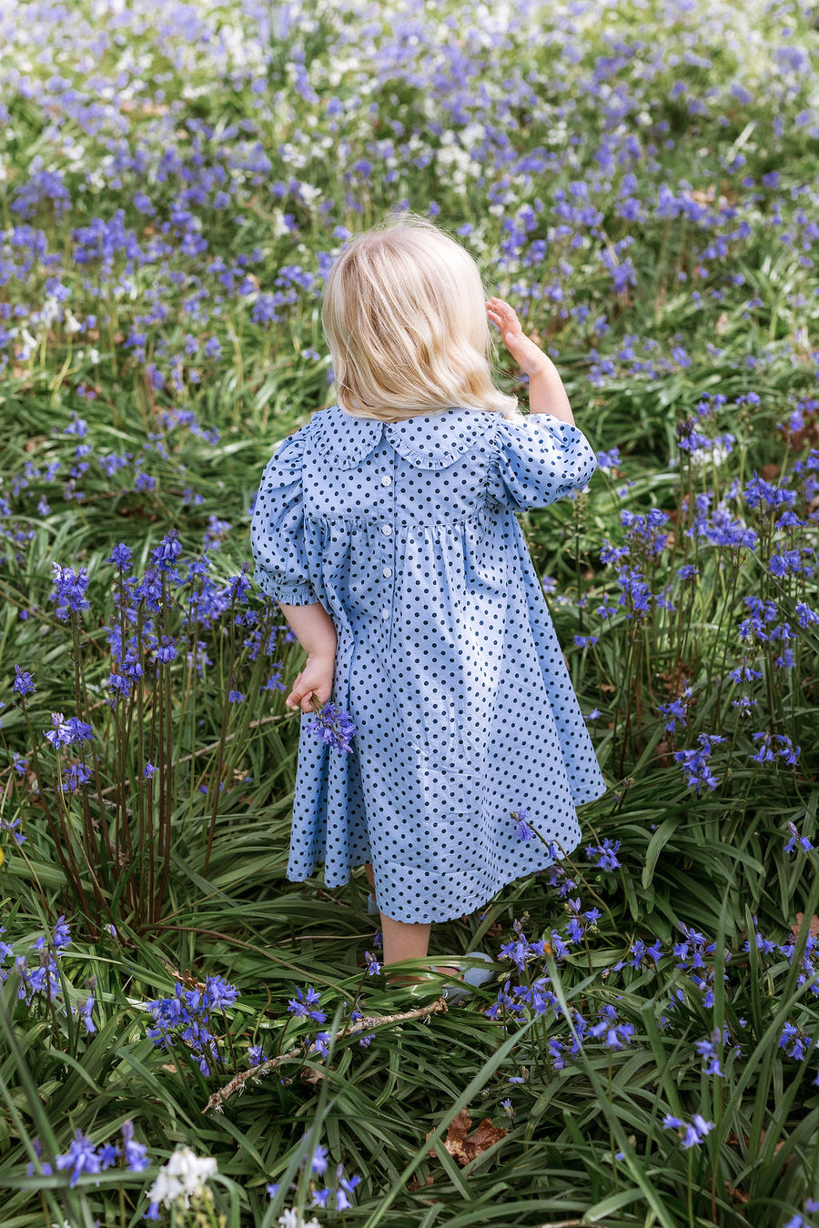 Birdie Dress - Periwinkle Dot