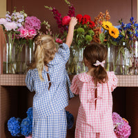 Rudy Blouse - Posy Check
