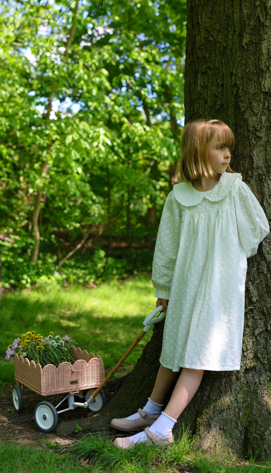 Amelia Dress -  Mini Daisy